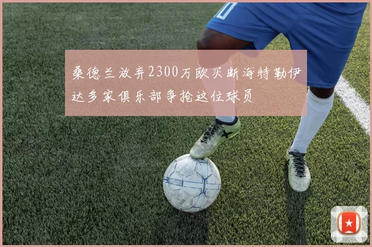 桑德兰放弃2300万欧买断海特勒伊达多家俱乐部争抢这位球员